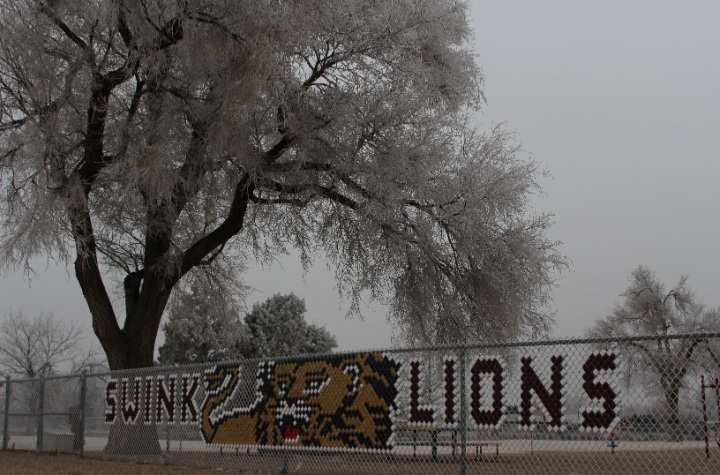 Swink Lions Frost seconews.org 