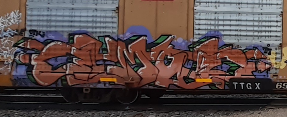 Railcar Graffiti art seconews.org