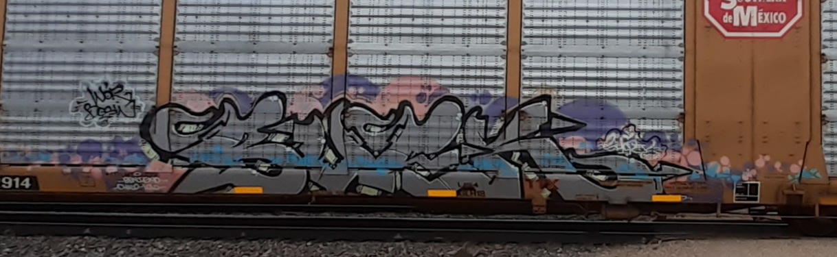 Railcar Graffiti art seconews.org