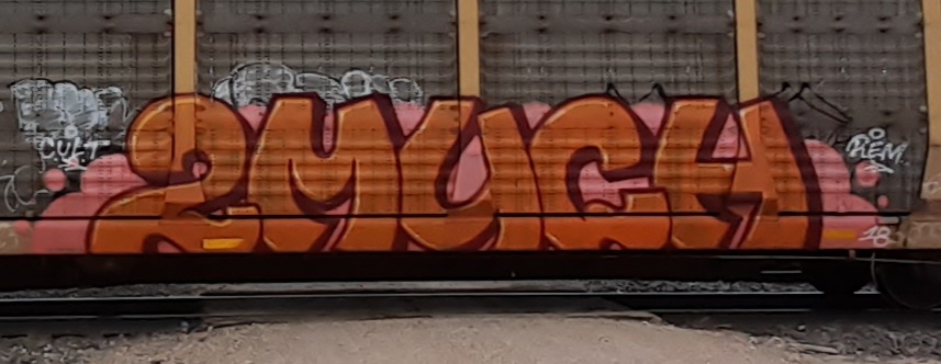 Railcar Graffiti art seconews.org