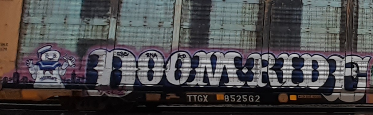 Railcar Graffiti art seconews.org