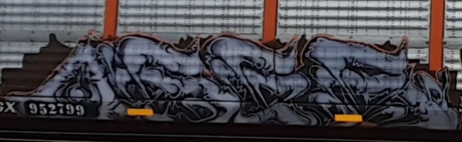 Railcar Graffiti art seconews.org