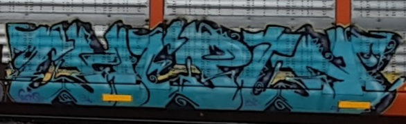 Railcar Graffiti art seconews.org