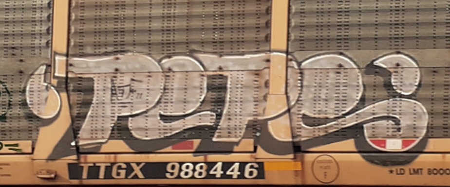 Train Graffiti railcar art seconews.org 