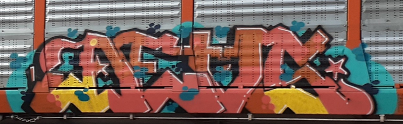 Train Graffiti railcar art seconews.org 