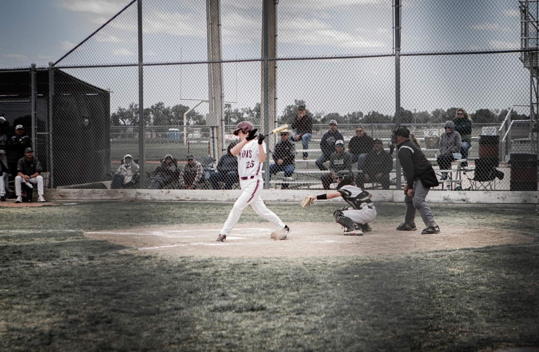 Swink Lions Baseball Photo by Michelle Valdez