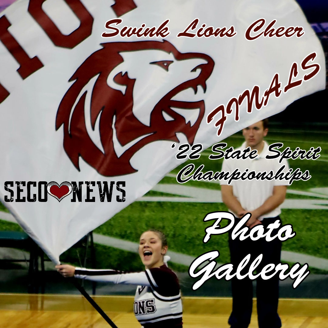 Swink Lions State Spirit Finals Photo Gallery Cover Image