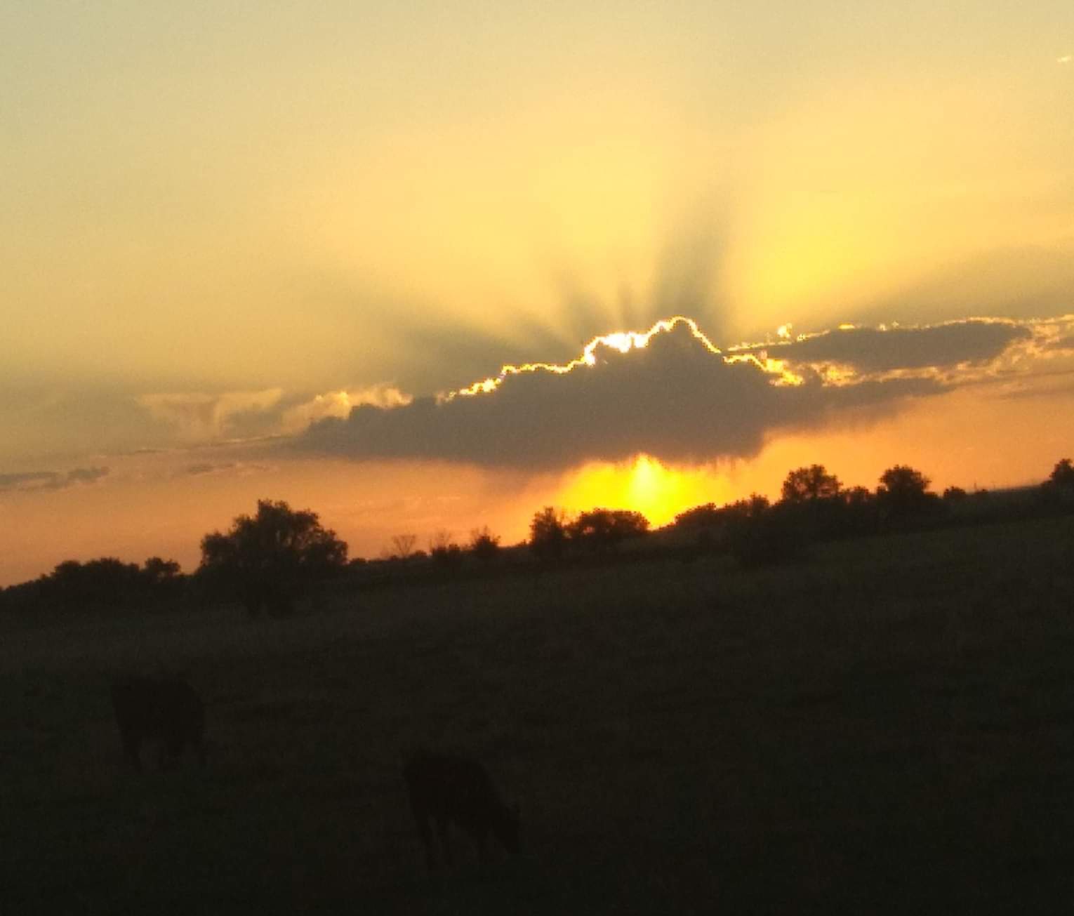 SECO NEWS SECO Weather Forecast June 15 21 2022