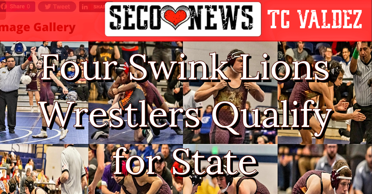 Four Swink Wrestlers Qualify for State